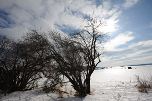 16 mm, f/9, 1/1600 s