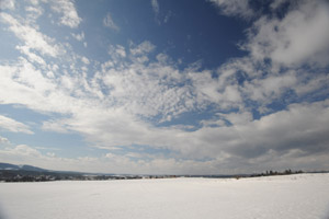 16 mm, f/8, 1/320 s