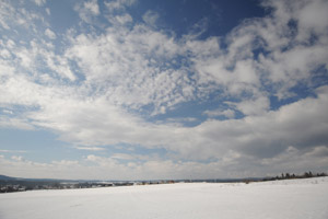 20 mm, f/4, 1/1250 s