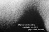 8105132281262706537.jpg