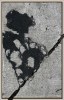 6905688641223401992.jpg