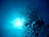 Bubbles