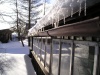 V odlesku