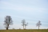 Příchovice Příchovice