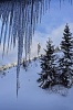 Kvaple a Vysoké Tatry Kvaple a Vysoké Tatry