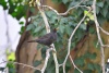 Nikon 80-400mm f/4,5-5,6 G AF-S ED VR