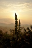 Sunrise ... Sunrise ...