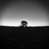 In the middle of nowhere ... In the middle of nowhere ...
