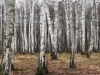 Příroda - krajina