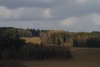 jesenný - les na východě