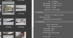 Lightroom RAW Nikon 
